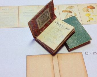 PDF French Botanical 'Champignons' Miniature Book for Dollhouse 1/12 Scale DIGITAL DOWNLOAD