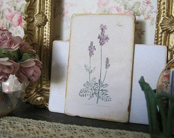 Lavender Botanical Sign/Print for Dollhouse Miniature 1:12th scale