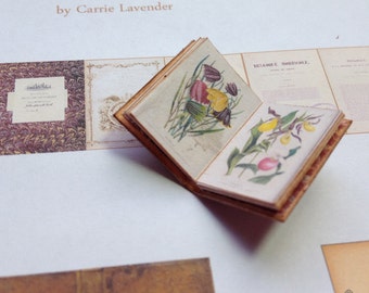 PDF Vintage Charles Morren Botany Book for Dollhouse Miniature 1/12 Scale DIGITAL DOWNLOAD