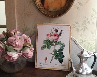 Rose Botanical Sign/Print for Dollhouse Miniature