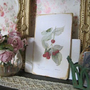 Raspberry Botanical Sign/Print for Dollhouse Miniature 1:12th scale