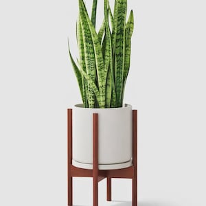 May include: A potted snake plant with tall, green and yellow striped leaves. The plant sits in a white ceramic pot on a wooden stand with a reddish-brown finish. The stand has a round base and vertical supports.