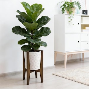 Adjustable Bamboo Plant Stand Mid Century Modern, Indoor Flower Holder Fits 8-12 Inch Pots