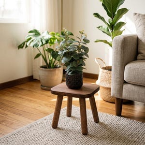 May include: A small, square-topped wooden stool with four rounded legs, featuring a dark brown finish. A potted plant with green, rounded leaves sits centered on the stool, which is positioned on a textured, light-colored rug.