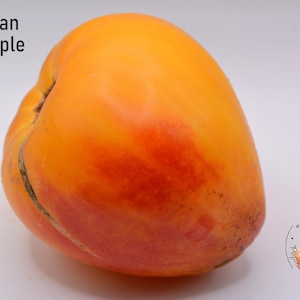 Peut inclure: Gros plan sur un ananas hawaïen, un grand fruit ovale avec un dégradé orange et rouge vif. Le fruit a une surface lisse et une forme légèrement irrégulière. Le texte sur l'image indique "Hawaiian Pineapple".