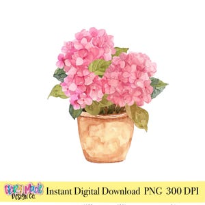 Könnte beinhalten: Aquarell-Illustration einer Topf-Hortensie mit leuchtend rosa Blüten und grünen Blättern. Die Pflanze befindet sich in einem hellbraunen Topf. Das Bild enthält den Text "Instant Digital Download PNG 300 DPI".