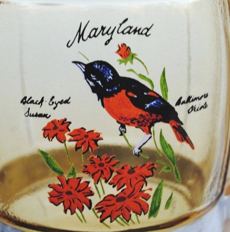 Vintage Maryland Souvenir Yellow Glass Mug Baltimore Oriole Bird /& Black Eyed Susan Red Flowers Wood Handle