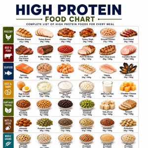 Protein Food List Printable | High Protein Foods Chart Pdf | Protein-Rich Grocery List | Protein Sources PDF Download image 1