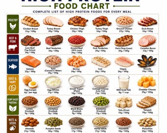 Protein Food List Printable | High Protein Foods Chart Pdf | Protein-Rich Grocery List | Protein Sources PDF Download