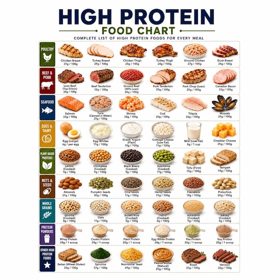 Protein Food List Printable | High Protein Foods Chart Pdf | Protein-Rich Grocery List | Protein Sources PDF Download