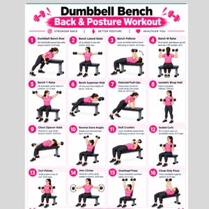 May include: A white informational poster titled Dumbbell Bench Back & Posture Workout featuring sixteen numbered illustrations of a person in a pink shirt and black leggings performing various exercises on a grey bench with black dumbbells.