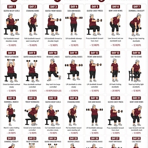 Rutina de ejercicios con mancuernas para mujeres mayores de 60 años (imprimible), 16 ejercicios de fuerza, rutina de ejercicios en casa para personas mayores, póster de ejercicios para personas mayores en formato PDF.