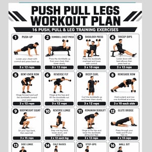 Pode incluir: Um cartaz de plano de treino branco intitulado PUSH PULL LEGS WORKOUT PLAN com 16 ilustrações de exercícios numeradas. Cada secção inclui um gráfico a preto e branco de uma pessoa a realizar um movimento, texto descritivo e contagem de repetições.