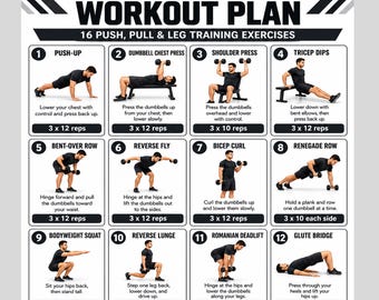 Push Pull Legs Workout Plan, PPL Workout Split, Gym Training Plan, Dumbbell Workout Program, Weekly Fitness Routine