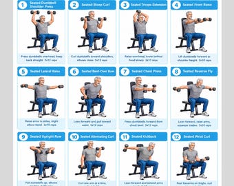 Seated Dumbbell Workout for Seniors, Chair Exercises for Older Men, Seated Exercise Printable, Senior Fitness PDF, Home Workout Poster