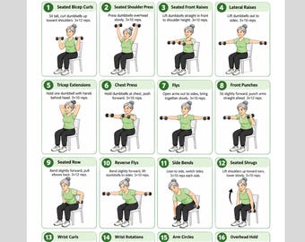 Seated Dumbbell Exercises for Seniors | Chair Workout Printable | Senior Strength Workout | Low Impact Exercise Chart PDF