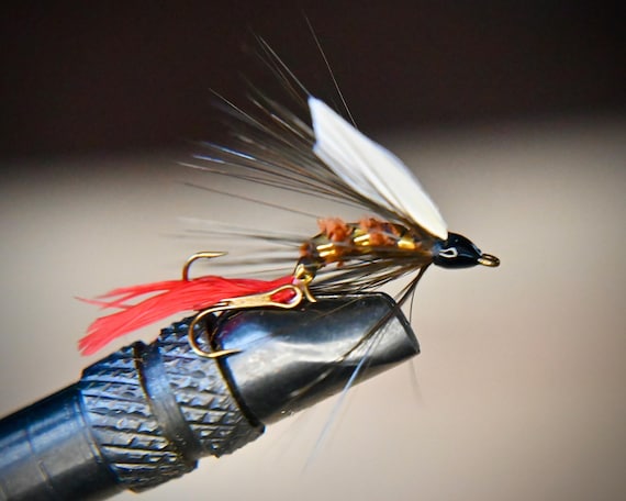 Grizzly King Hybrid Short Striker Fishing Lure