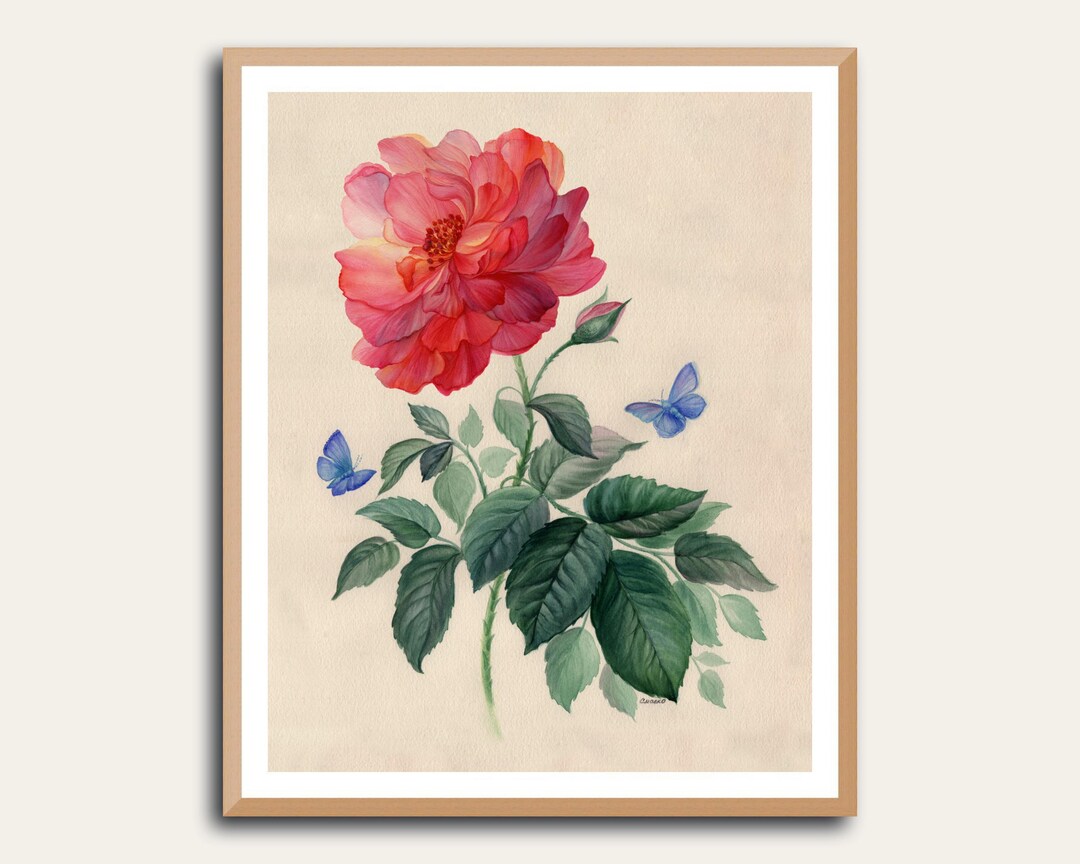 Pink Rose Botanical Wall Art, Watercolor Floral Art Print With Blue ...
