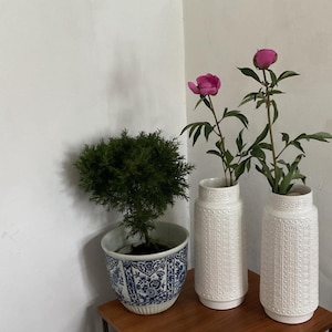 Alboth Kaiser - 2 White Vintage Vase - 645/30 - Mid Century