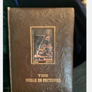 The Bible in pictures - 140 illustrations by Gustave Dore