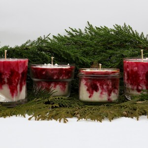 May include: Four candles with red and white marbled wax are displayed against a backdrop of green foliage. The candles are in clear glass containers, with one in a jar with a gold lid. Each candle has a single wick.