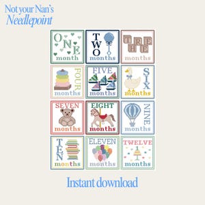 Könnte beinhalten: Kreuzstichmuster mit zwölf Quadraten, die jeweils einen Monat darstellen. Jedes Quadrat zeigt ein anderes Bild, wie einen Teddybären, eine Ente und einen Heißluftballon. Der Text "Not your Nan's Needlepoint" und "Instant download" sind ebenfalls vorhanden.