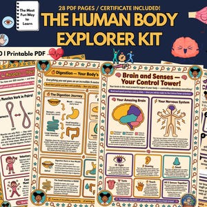 May include: A 28-page printable PDF educational kit titled The Human Body Explorer Kit for ages 7-10. The pages feature colorful illustrations of human organs, muscles, and sensory systems with text explaining digestion, the brain, and the nervous system.