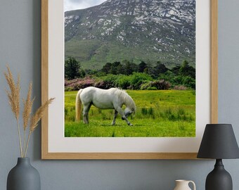 White Connemara Pony - Fine Art Photography Print