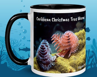 11oz, Taza de gusano de árbol de Navidad, Animal submarino, té de café, Foto de vida marina, Buceo, Invertebrados, coral tropical, fotografía