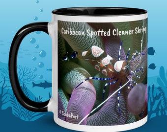 11oz, taza de camarón limpiador manchado, animal submarino, té de café / foto de vida marina, fotografía de buceo, Caribe, anémona, silla de montar