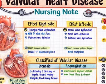 Doença Valvar Cardíaca – Nota de Enfermagem l NCLEX l folha de dicas