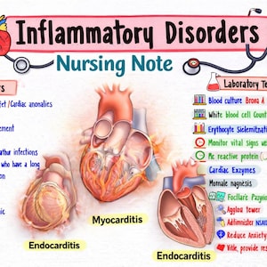 Puede incluir: Un diagrama educativo titulado "Inflammatory Disorders Nursing Note" con ilustraciones del corazón e información médica relacionada. El diagrama incluye factores de riesgo, pruebas de laboratorio y las afecciones de Miocarditis y Endocarditis.