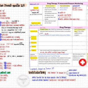 Notas de Enfermagem sobre Pressão Intracraniana (PIC) | UTI Neurológica | Resumos | NCLEX imagem 3