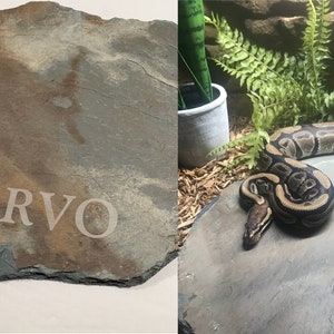 SLATE Basking / Feeding stone 9" x 13" Hide warming plate Aquarium Snake turtle lizard rock PERSONALIZED