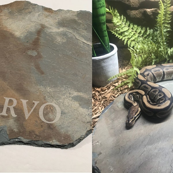 SLATE Basking / Feeding stone 9" x 13" Hide warming plate Aquarium Snake turtle lizard rock PERSONALIZED