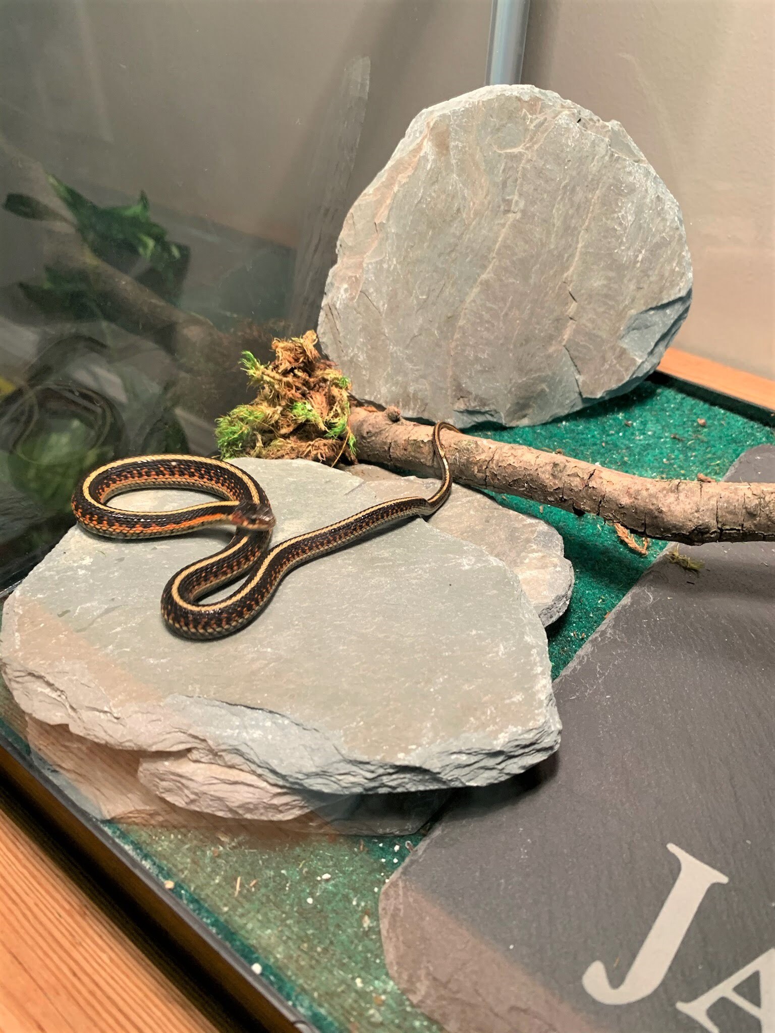 6 SLATE AQUARIUM Fish Tank Reptile Stone Gravel Craft NATURAL Etsy