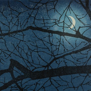 Himeji moon: stampa xilografica Giapponese originale numerata