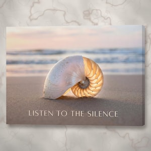 Listen to the Silence Seashell Canvas Art | Coastal Minimalism, Translucent Shell Golden Hour Photography