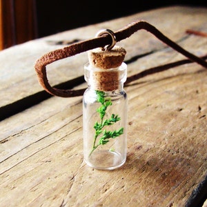 Faux Leather Tree Necklace / Miniature bottle necklace / Terrarium Necklace / Real Plant Necklace / Dried Flower Necklace