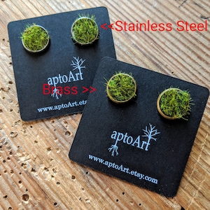 Green Grass Earrings, Green Plant Jewelry, Nature Lover, Moss Earrings, Real Moss Earrings, Studs, Stud Earrings, Unique Gift Christmas Gift image 2