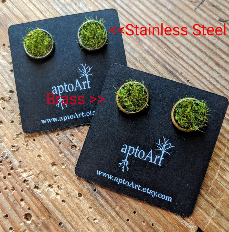 Green Grass Earrings, Green Plant Jewelry, Nature Lover, Moss Earrings, Real Moss Earrings, Studs, Stud Earrings, Unique Gift Christmas Gift image 2