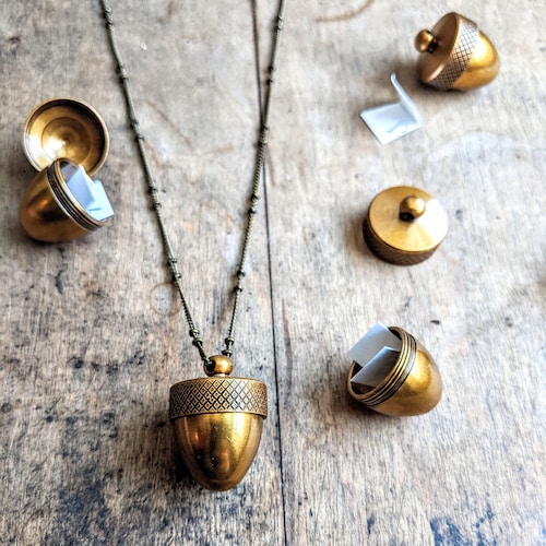 Collier médaillon gland / Bijoux gland / Collier souvenir / Urne / Amateur de glands / Amulette / Collier note