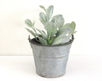 Vintage Small Galvanized Pail, 2 quart Metal Bucket, Made in Poland, Shabby Primitive Rustic Planter, Succulent Planter, Farmhouse Decor