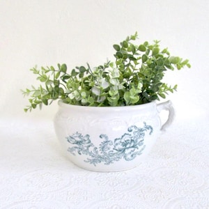 May include: A white ceramic planter with a floral design in teal. The planter is filled with green leafy plants. The planter has a handle on one side and is sitting on a white surface.