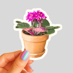 Op de afbeelding: Een sticker van een potje Afrikaanse viooltjes. De plant heeft felroze bloemen, groene bladeren en roze getint blad. De terracotta pot staat op een bijpassende schotel. De sticker staat op een lichtgrijze achtergrond.