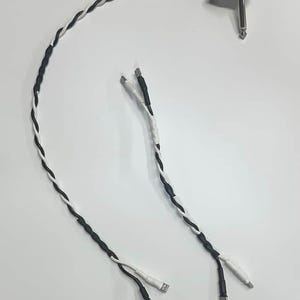 May include: Two black and white braided instrument cables with 1/4 inch right angle plug and two USB connectors. The cables are twisted together, creating a visually appealing design. The connectors are silver.