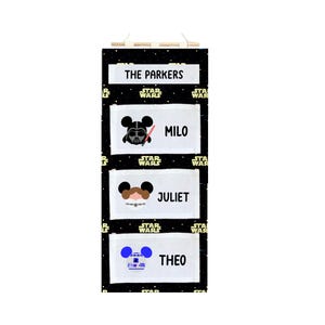 Handmade Disney Cruise Fish Extender | Character Inspired Custom Fish Extender | 3–4 Pocket Door Organizer