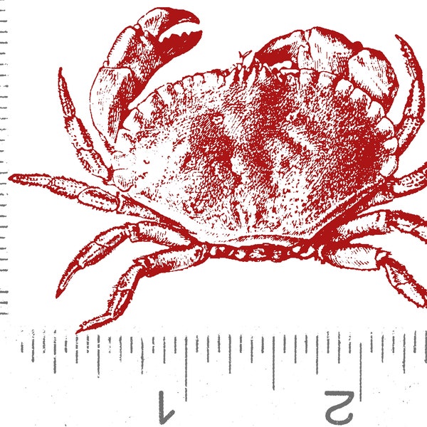 Crab Rubber Stamp Etsy