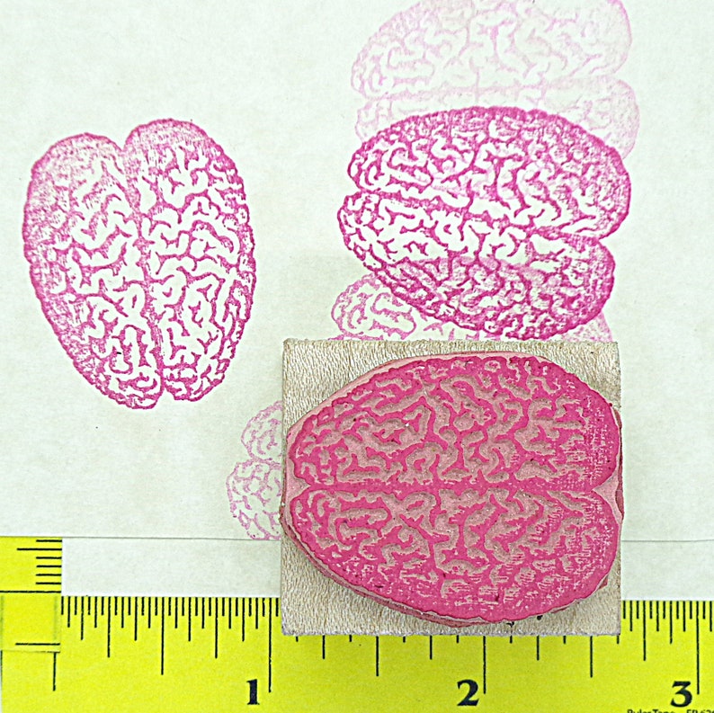 Brain Rubber Stamp Etsy