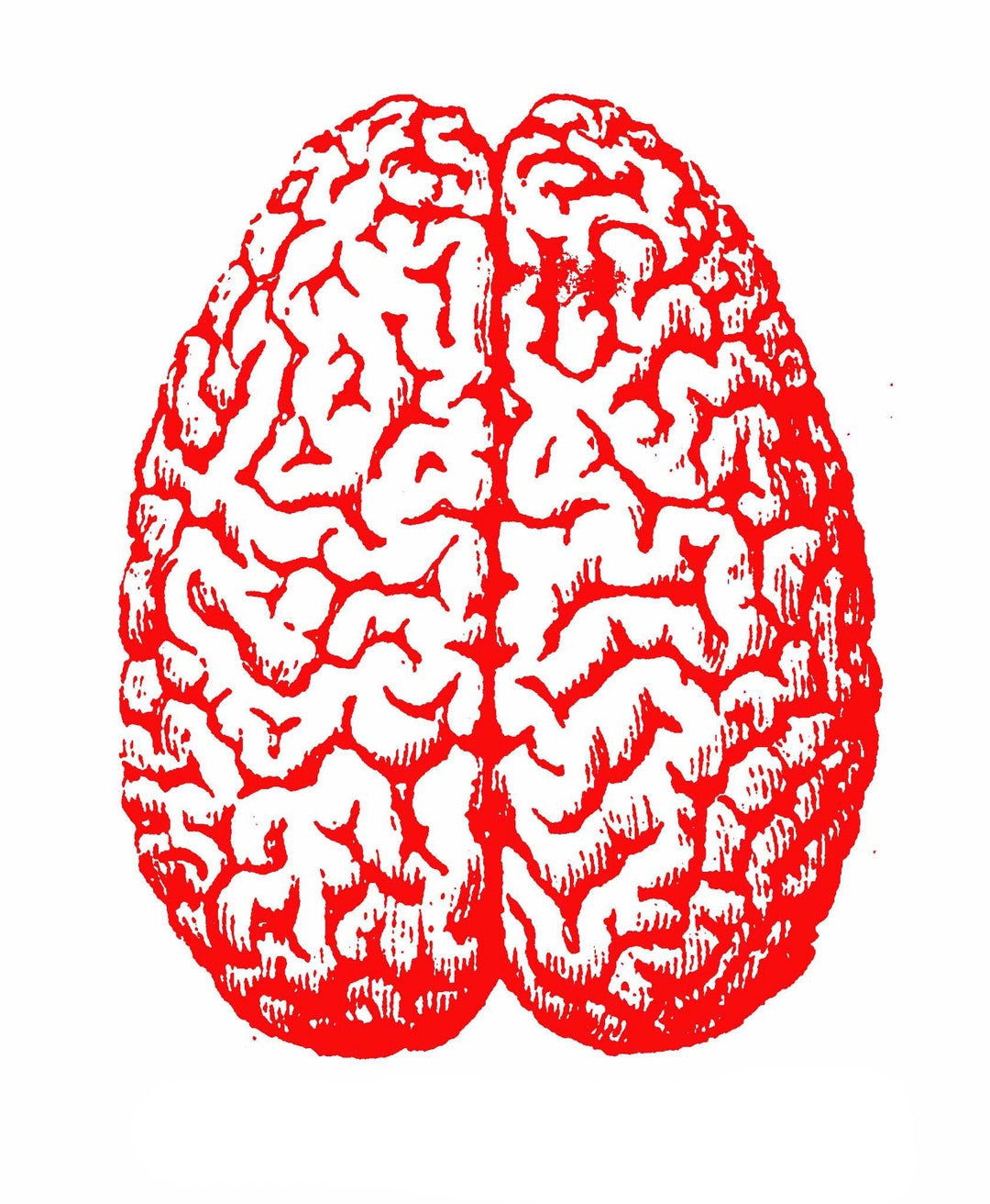 Brain Rubber Stamp Etsy